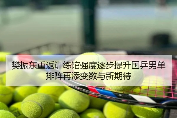 樊振东重返训练馆强度逐步提升国乒男单排阵再添变数与新期待